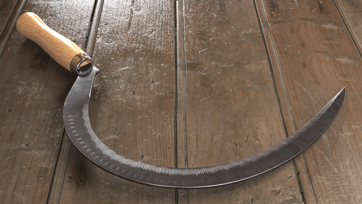 3D model Sickle