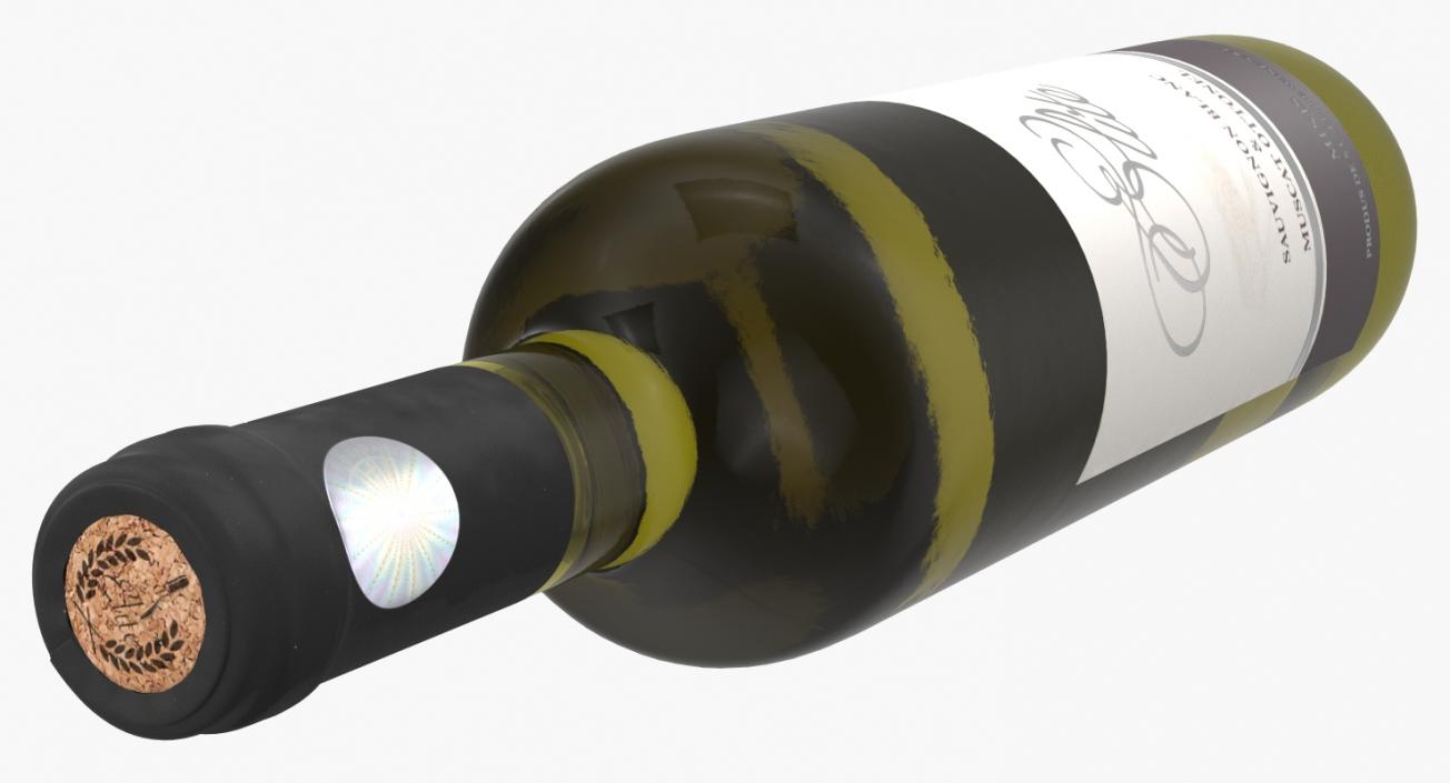 Champagne and Wine Bottles 3D Models Collection 3D