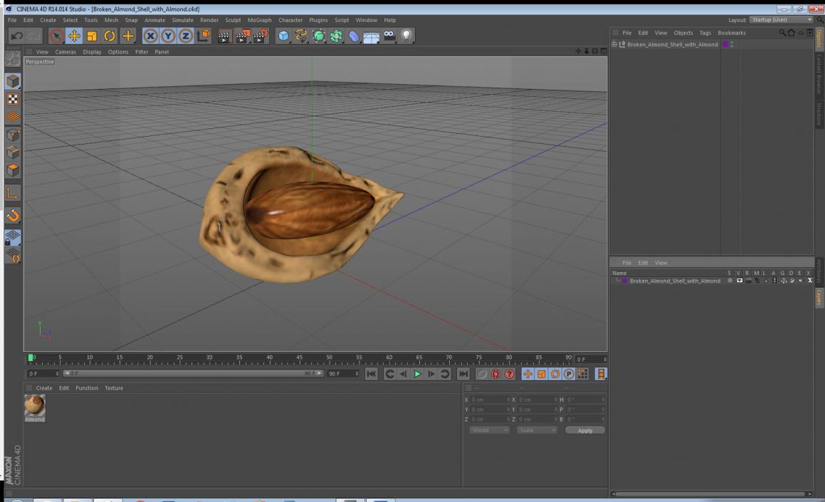 3D Broken Almond Shell with Almond