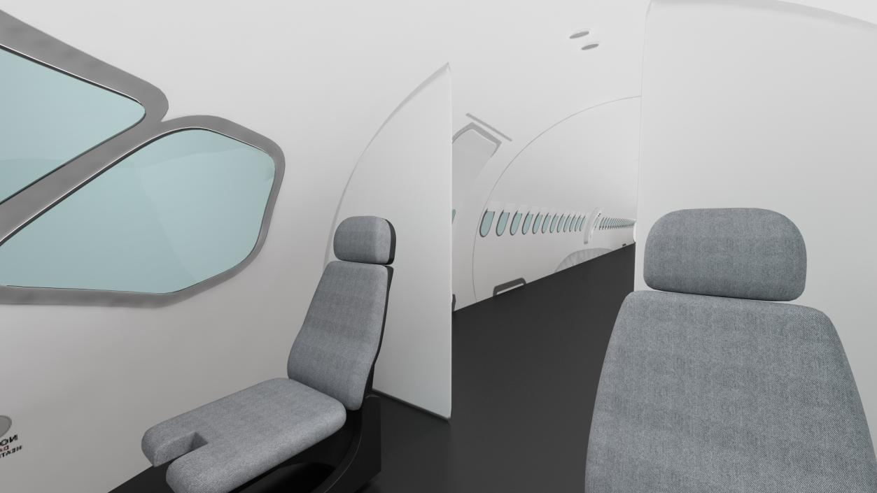 3D model Airbus A220 100 Simple Interior Rigged 2