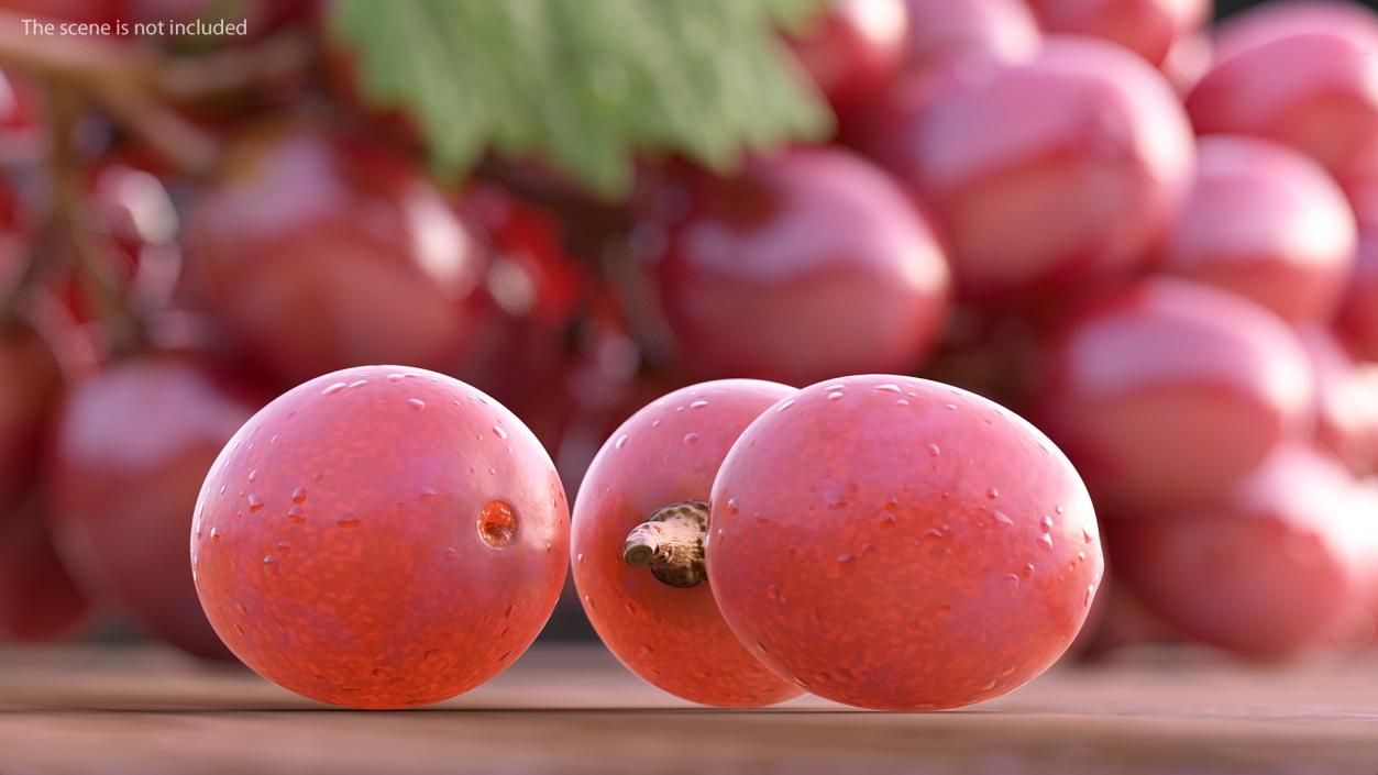 Grapes Collection 3 3D model