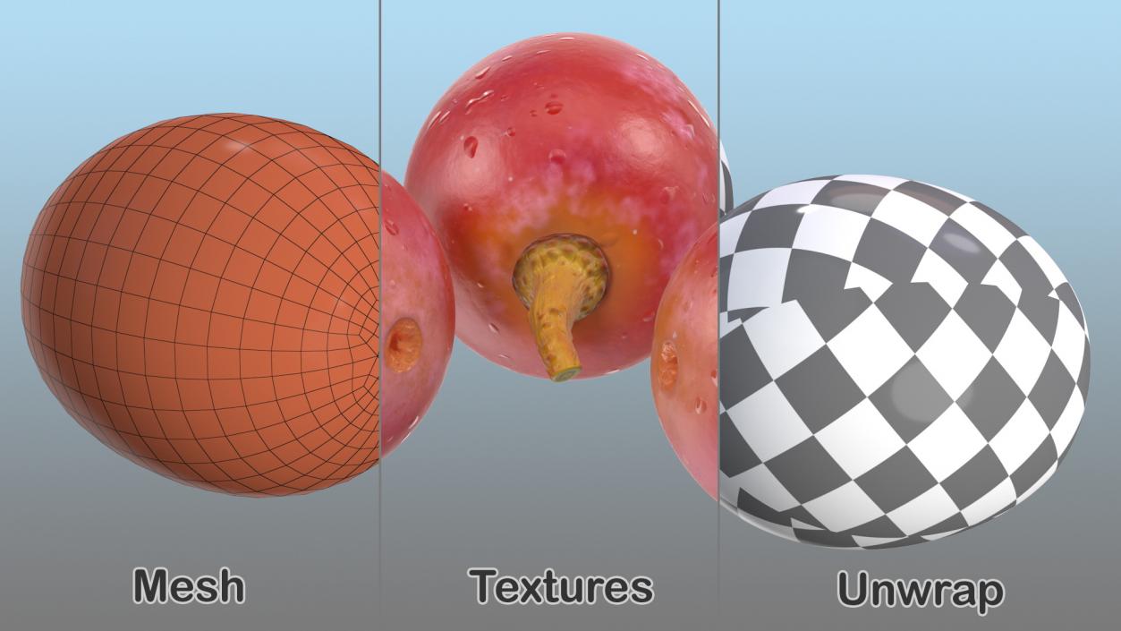 Grapes Collection 3 3D model