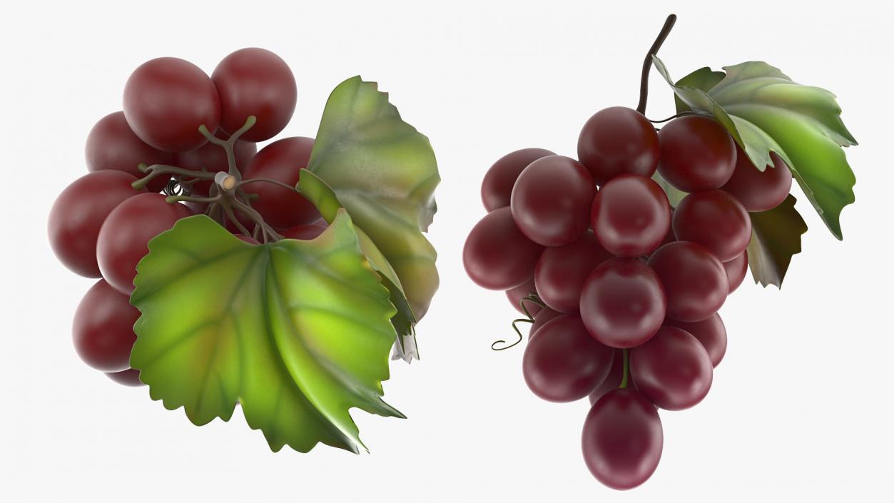 Grapes Collection 3 3D model