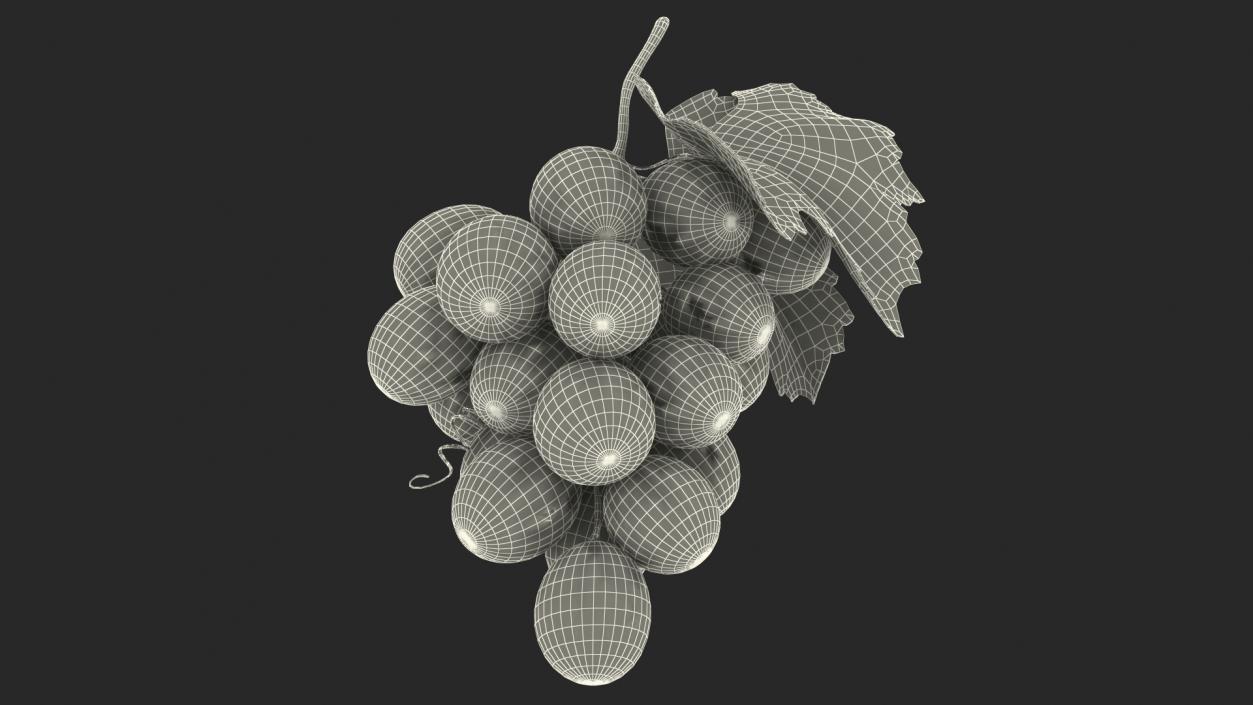 Grapes Collection 3 3D model