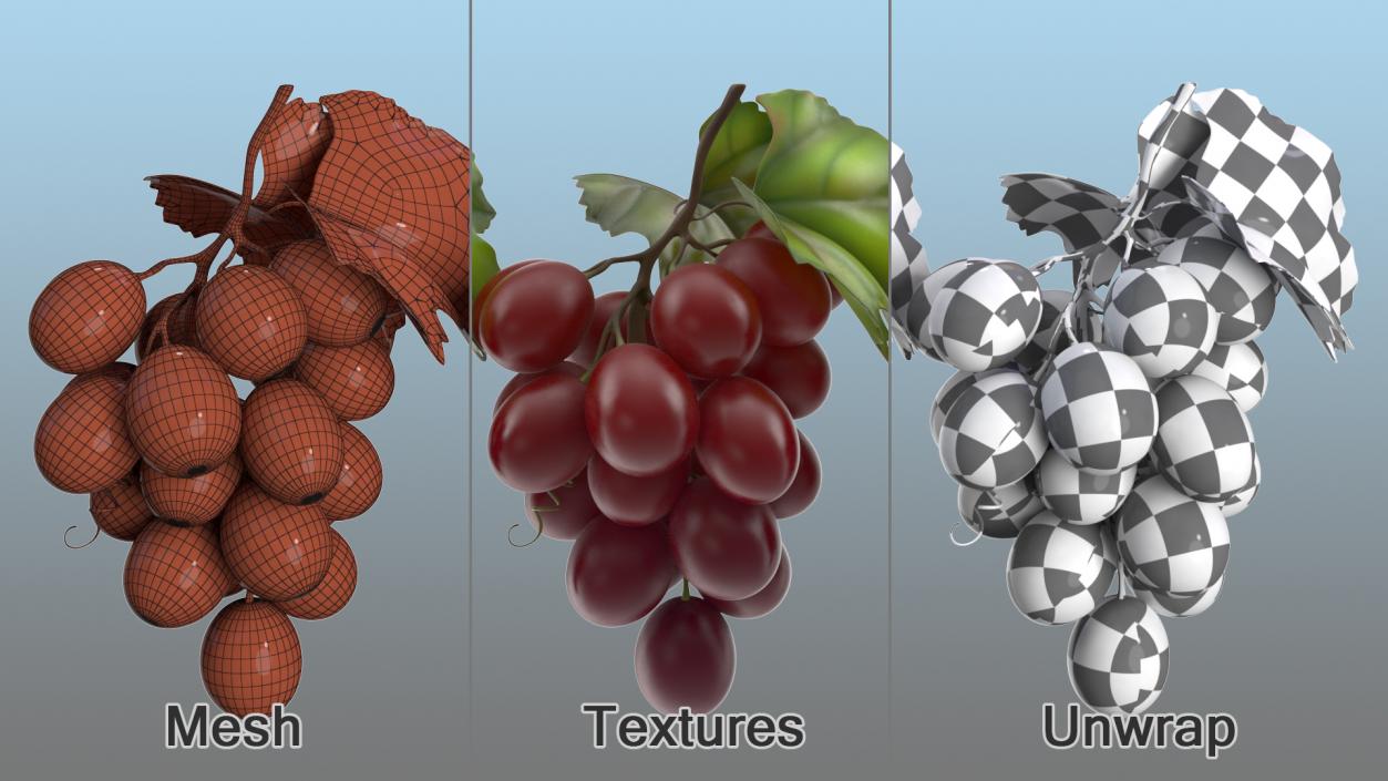 Grapes Collection 3 3D model