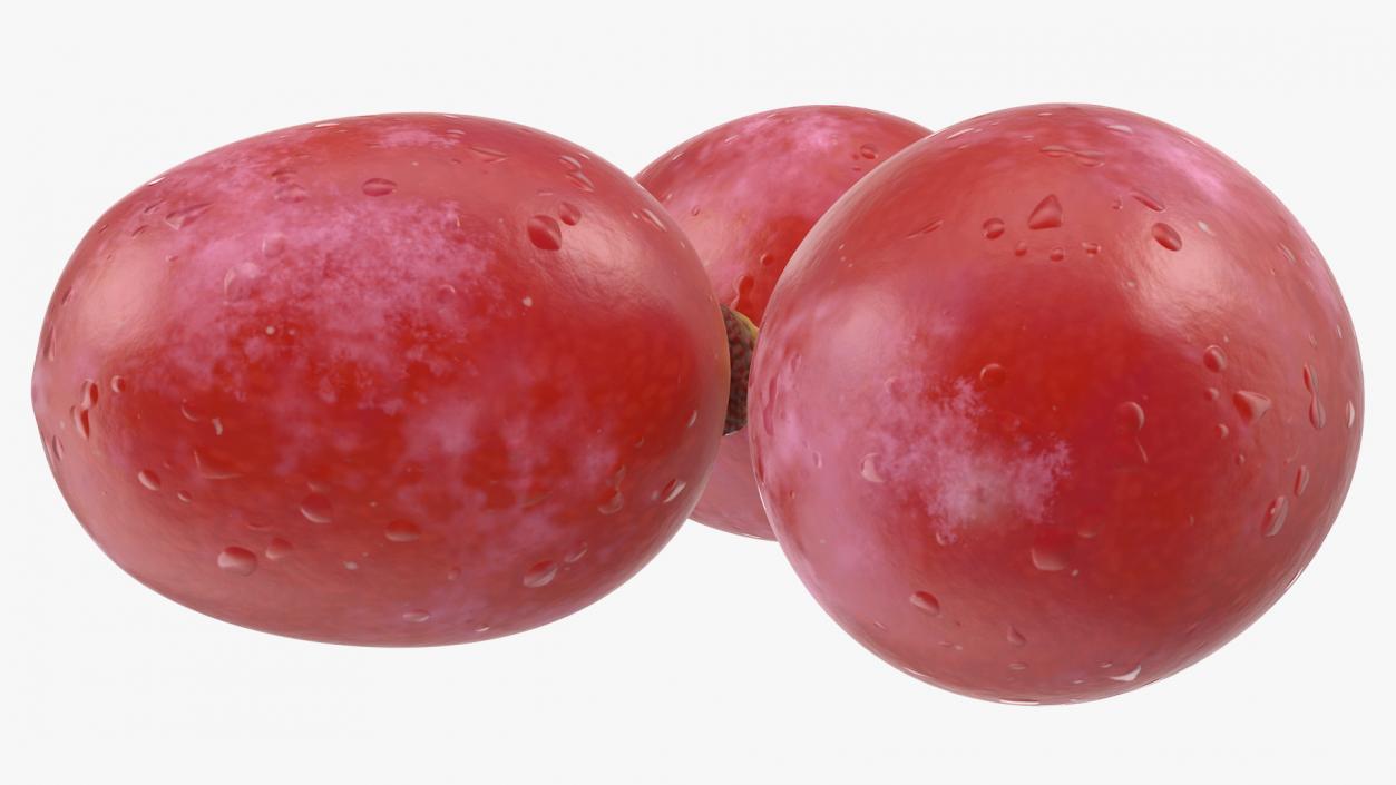 Grapes Collection 3 3D model