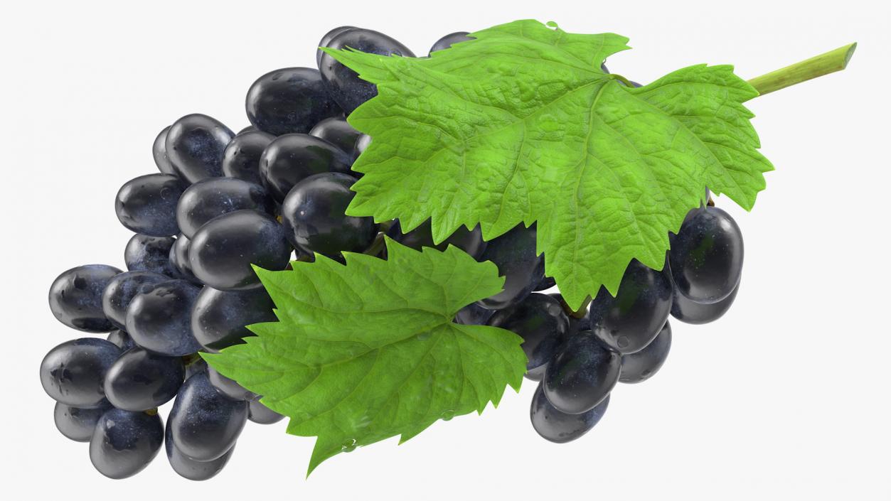 Grapes Collection 3 3D model