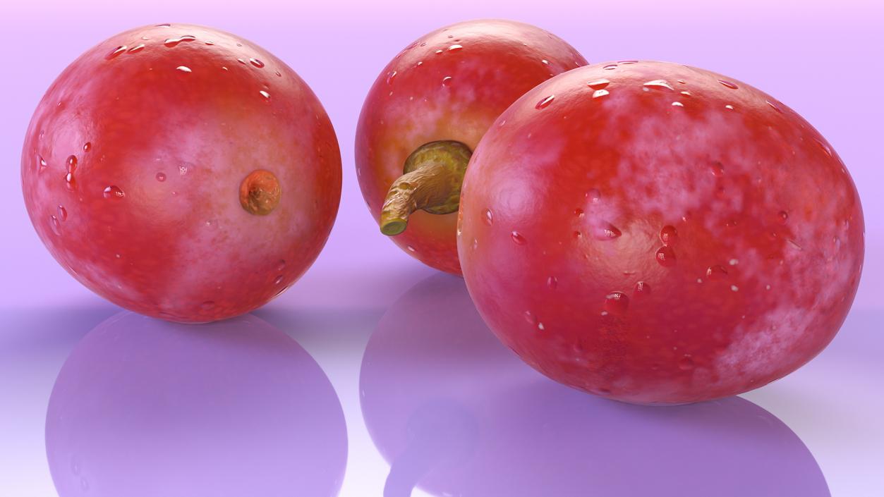 Grapes Collection 3 3D model