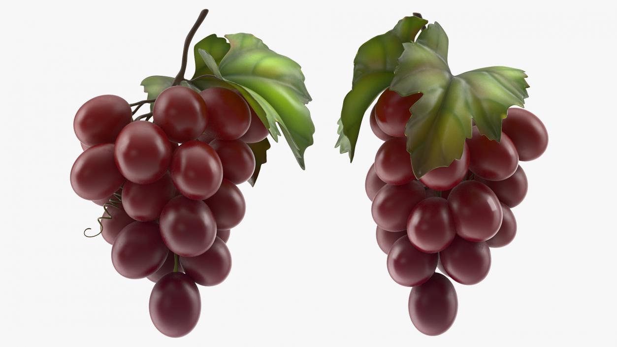 Grapes Collection 3 3D model