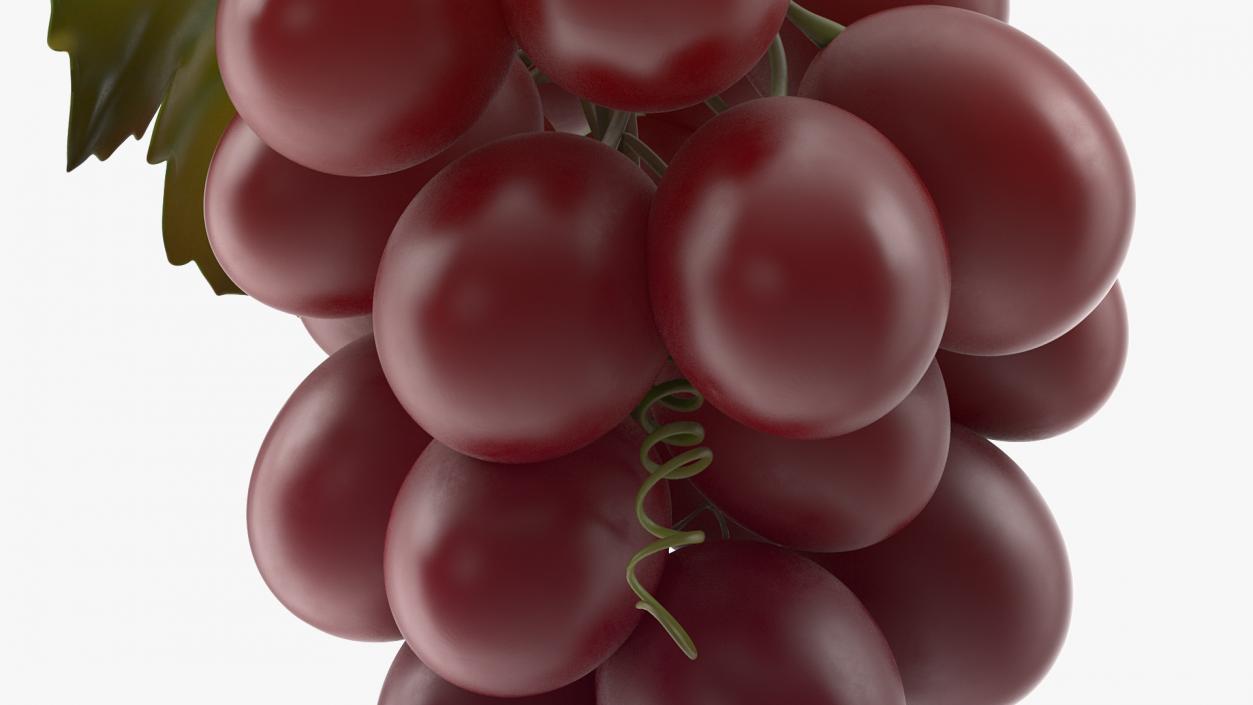 Grapes Collection 3 3D model