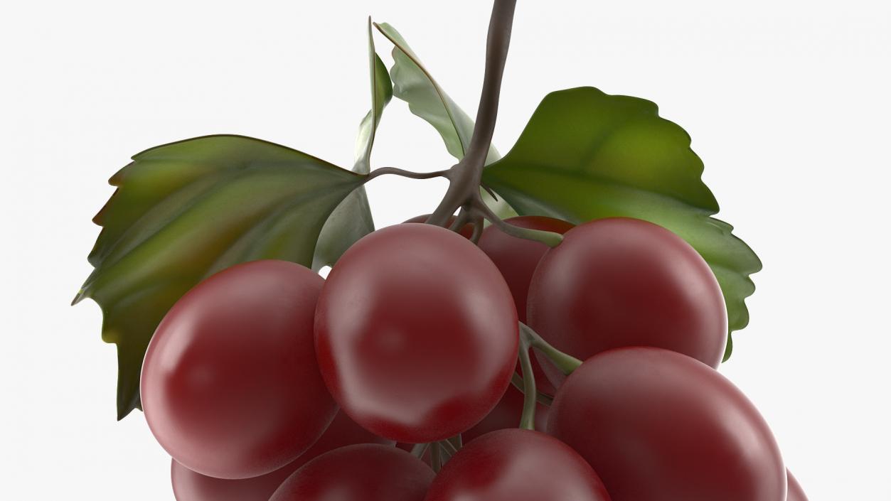 Grapes Collection 3 3D model