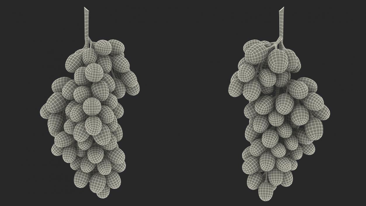 Grapes Collection 3 3D model