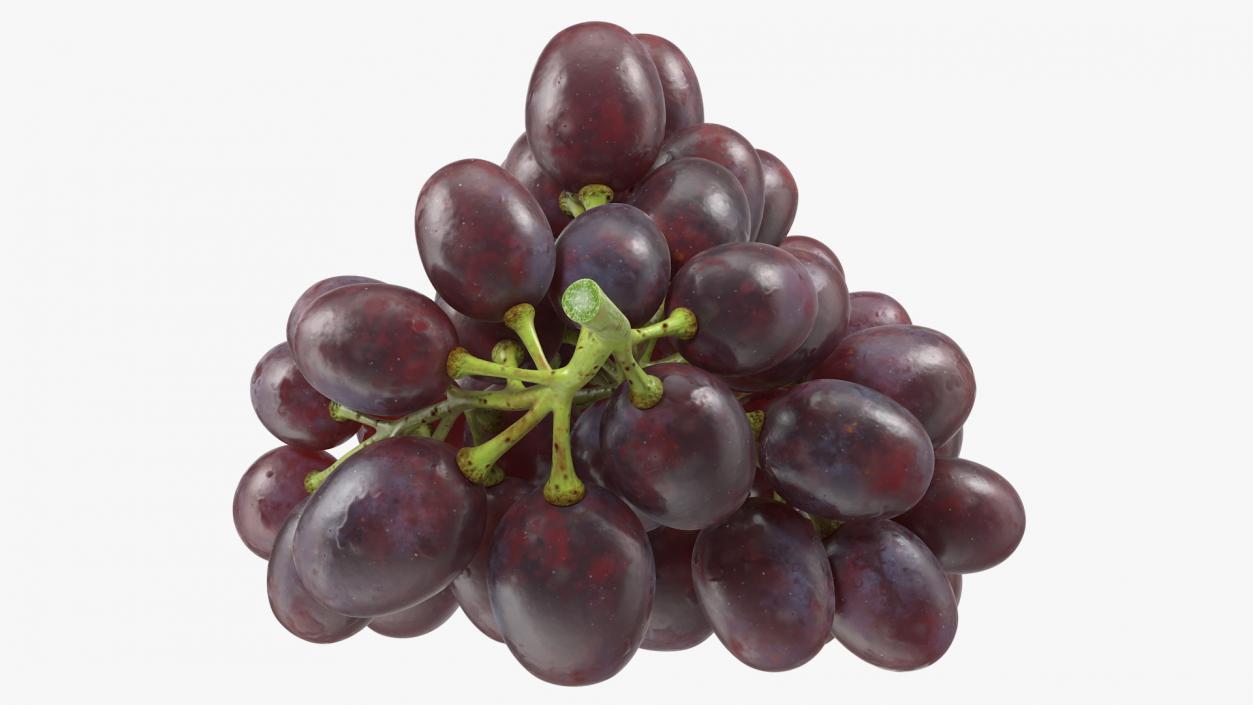 Grapes Collection 3 3D model