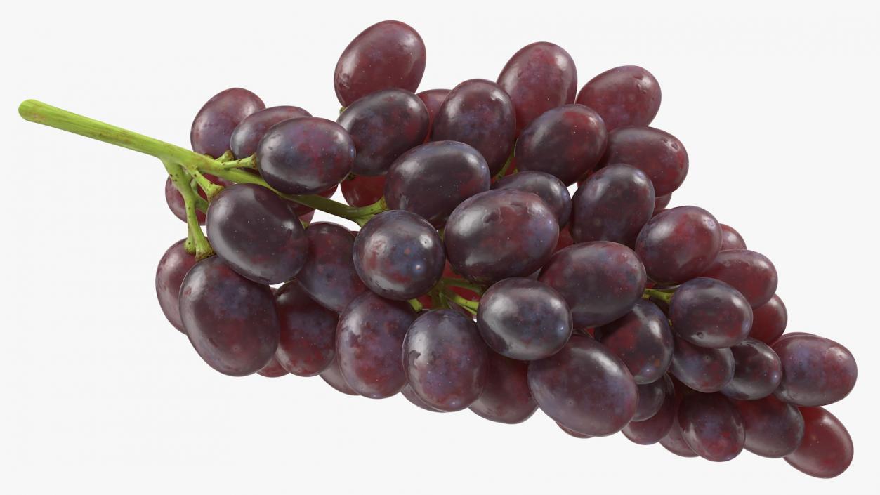 Grapes Collection 3 3D model