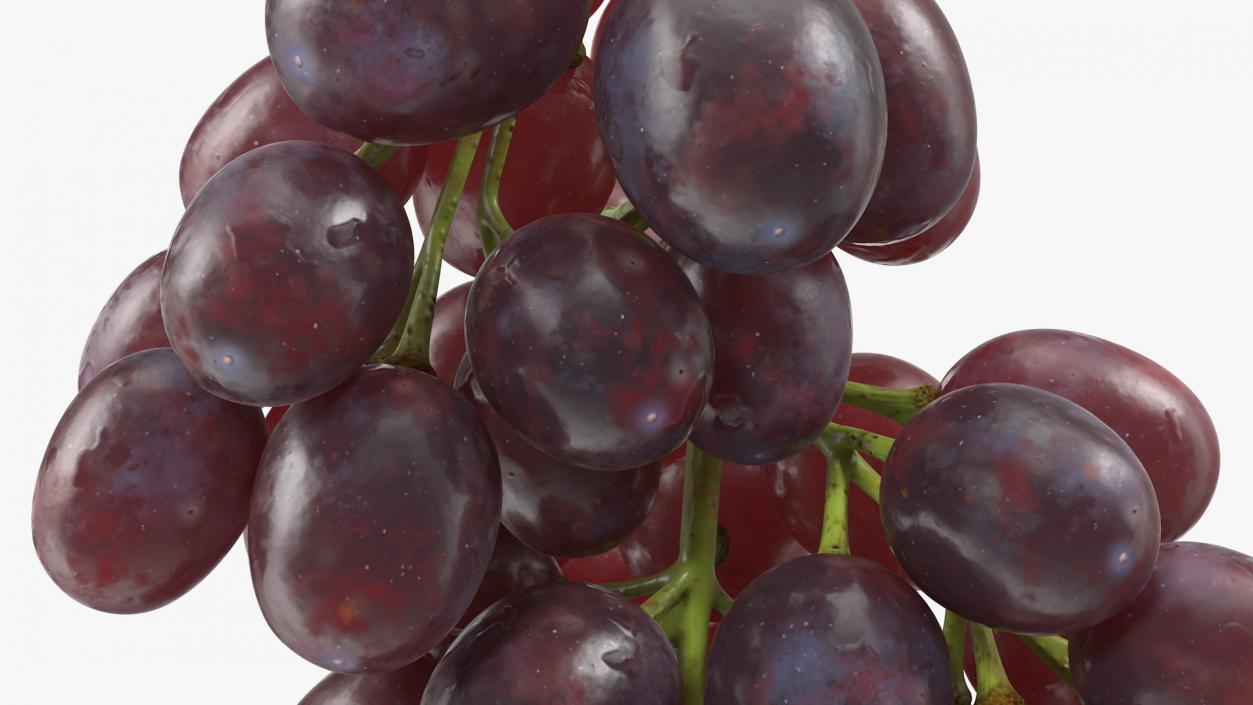 Grapes Collection 3 3D model