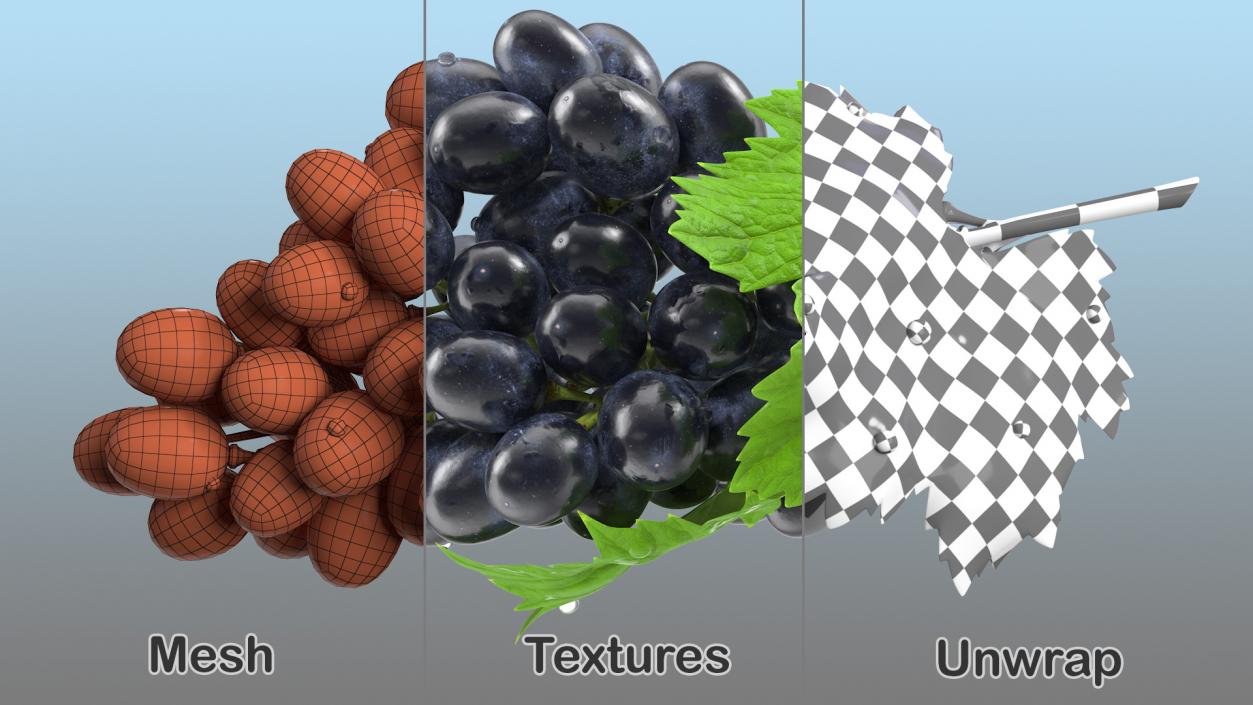 Grapes Collection 3 3D model