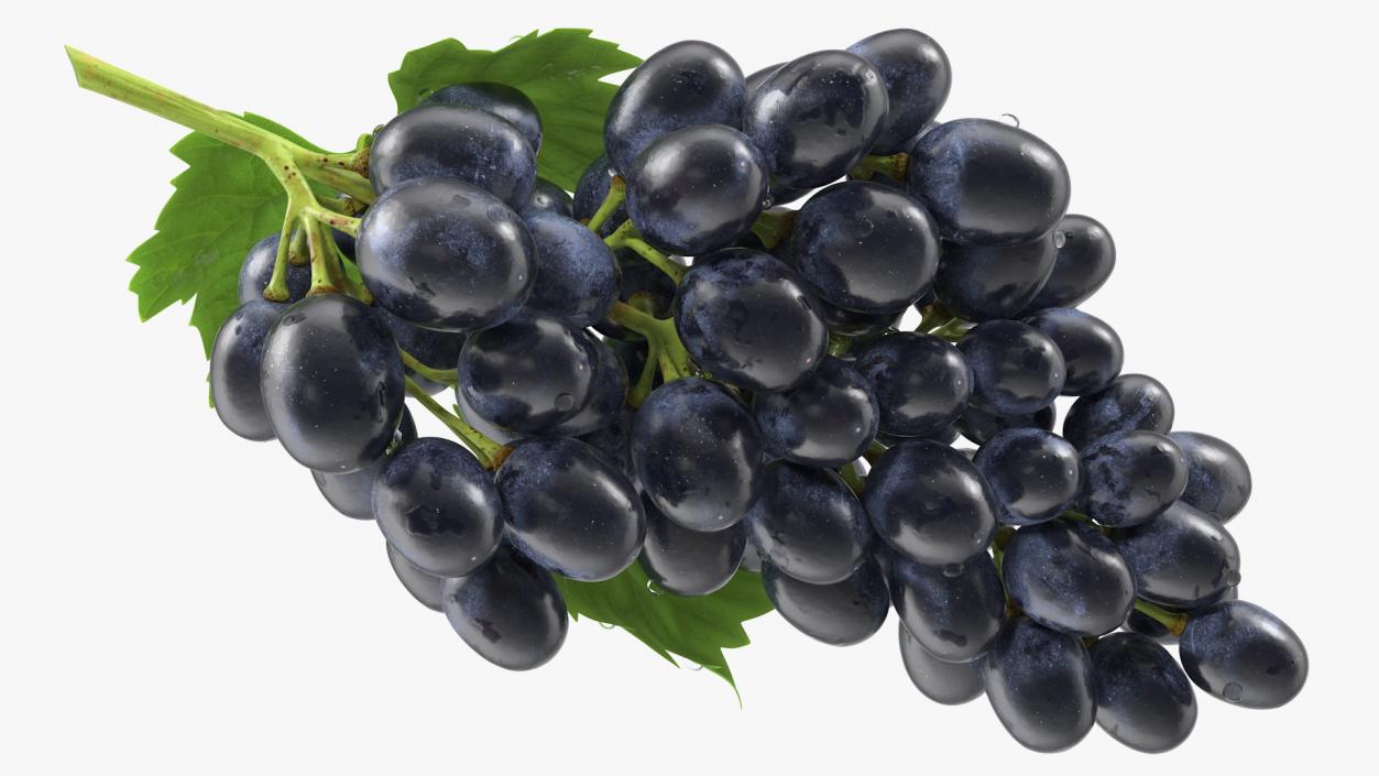 Grapes Collection 3 3D model