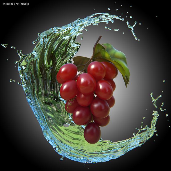 Grapes Collection 3 3D model