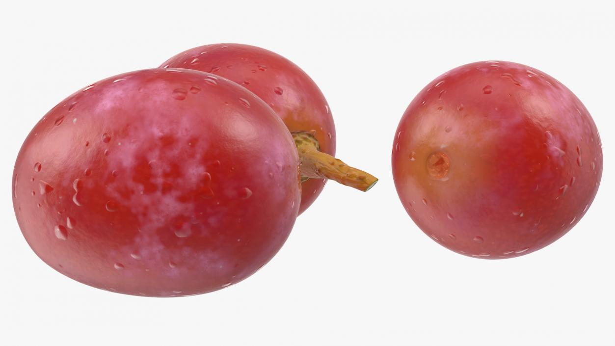 Grapes Collection 3 3D model