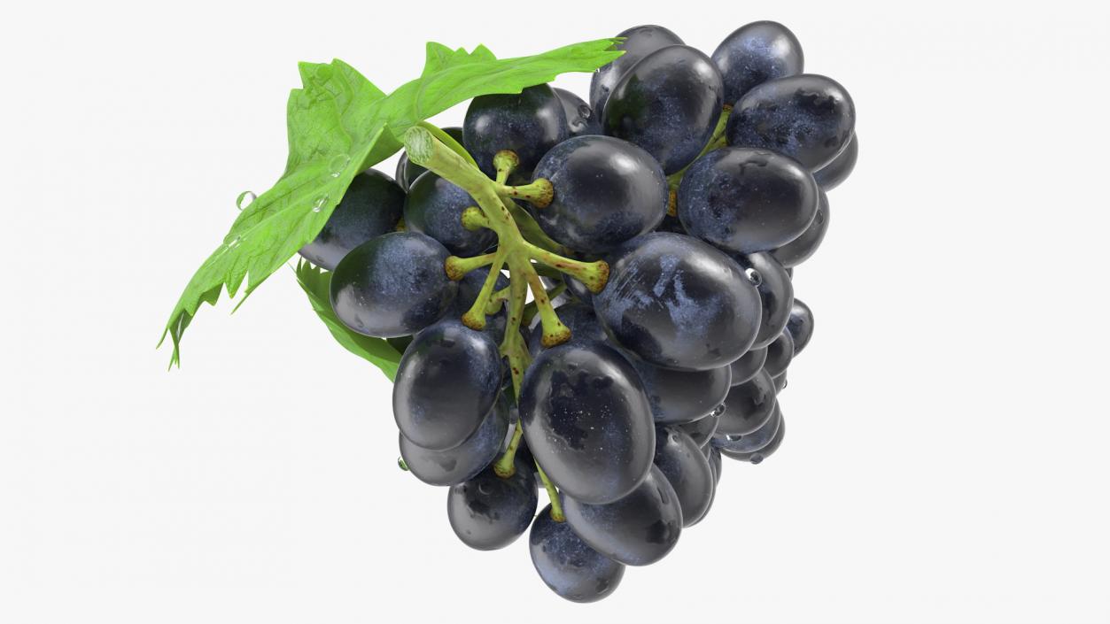 Grapes Collection 3 3D model