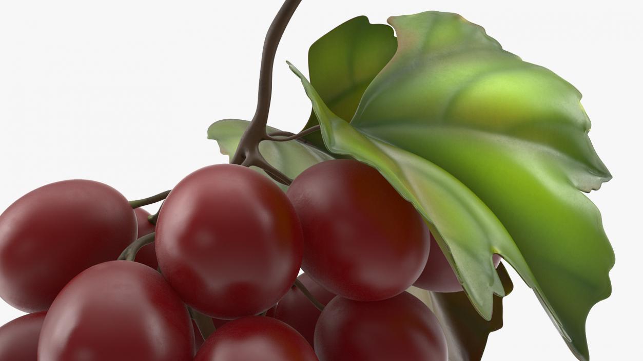 Grapes Collection 3 3D model