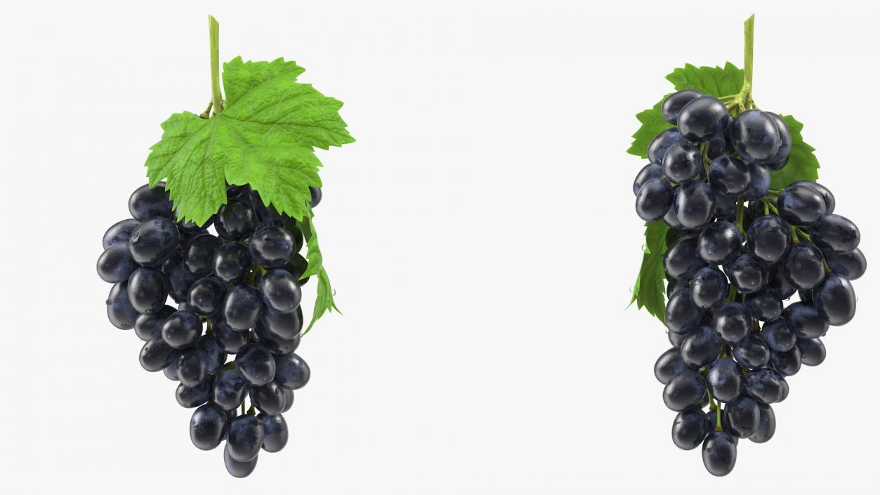 Grapes Collection 3 3D model