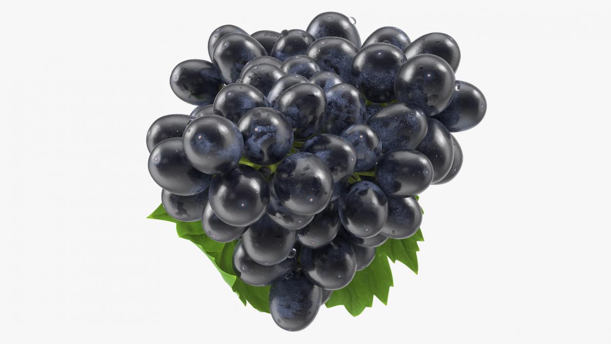 Grapes Collection 3 3D model