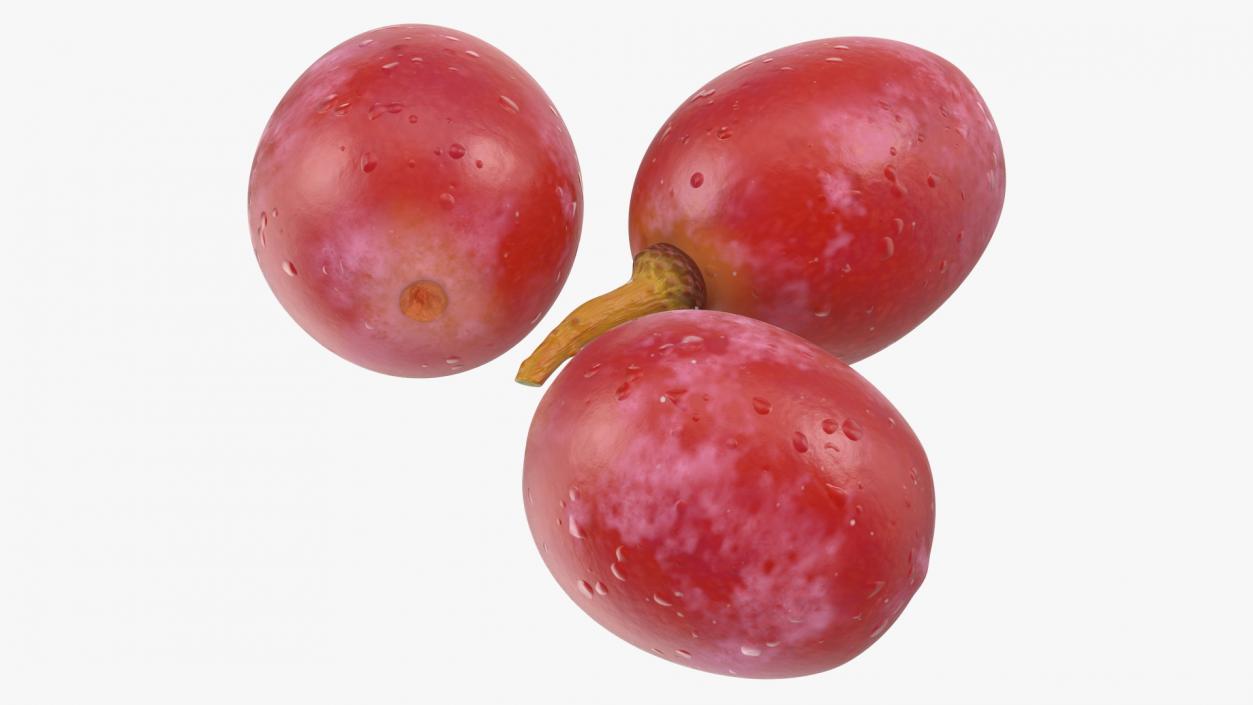 Grapes Collection 3 3D model