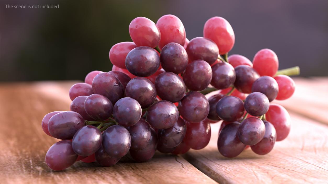 Grapes Collection 3 3D model