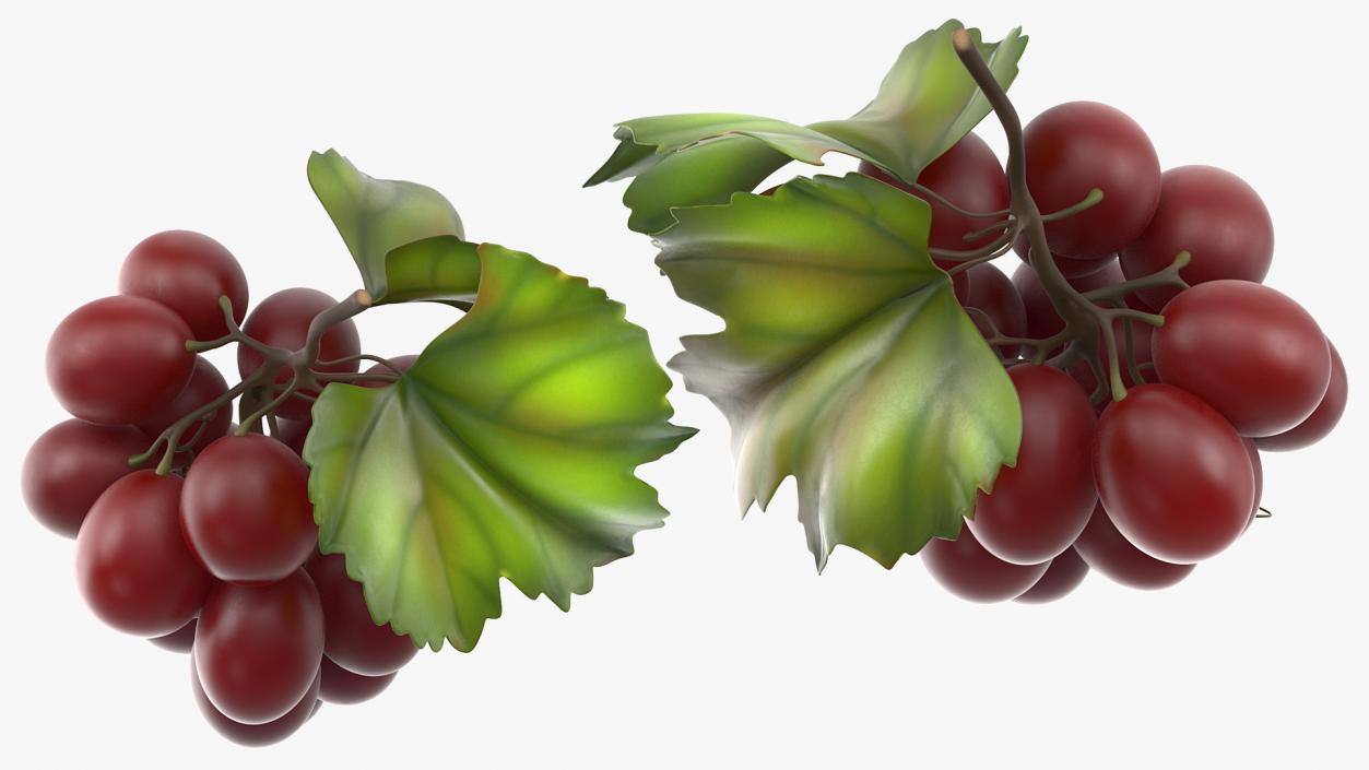 Grapes Collection 3 3D model