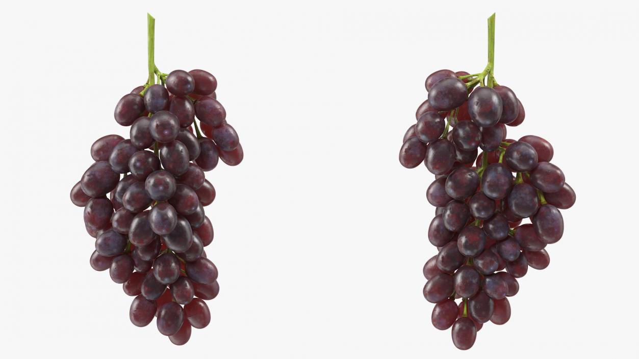 Grapes Collection 3 3D model