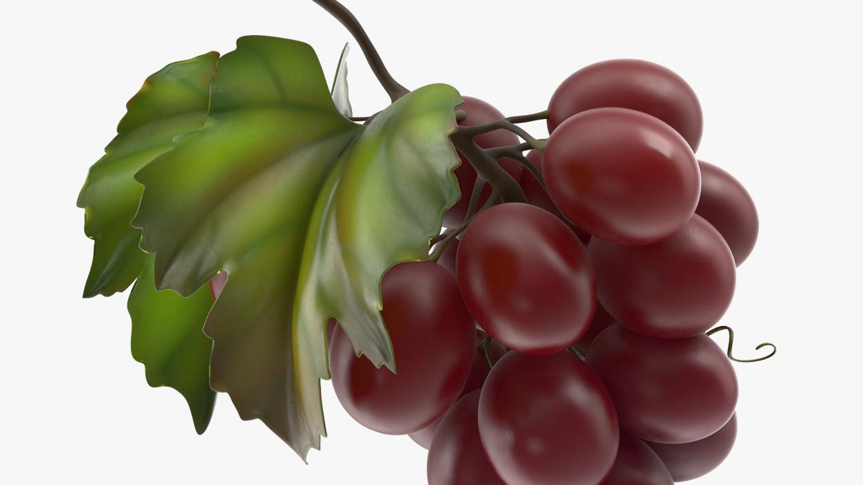 Grapes Collection 3 3D model