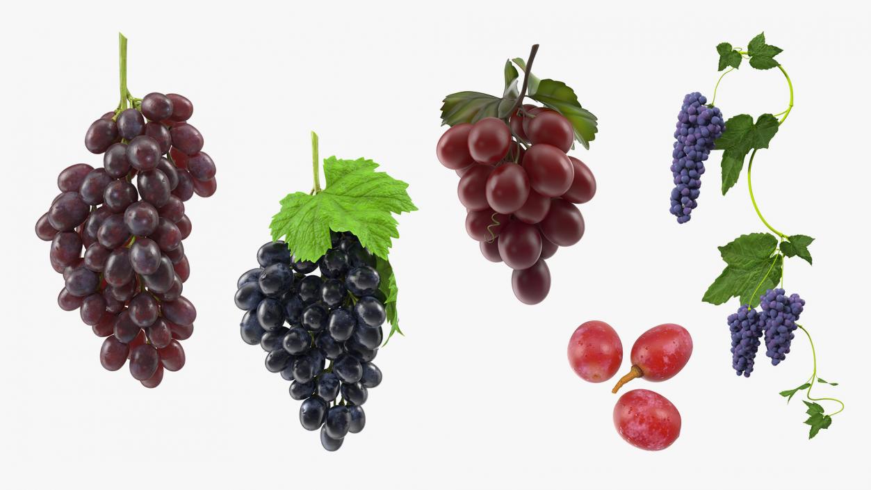 Grapes Collection 3 3D model