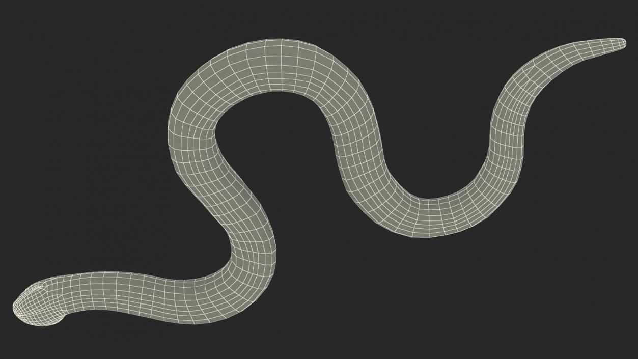 3D Crawling Brown Hognose Snake model