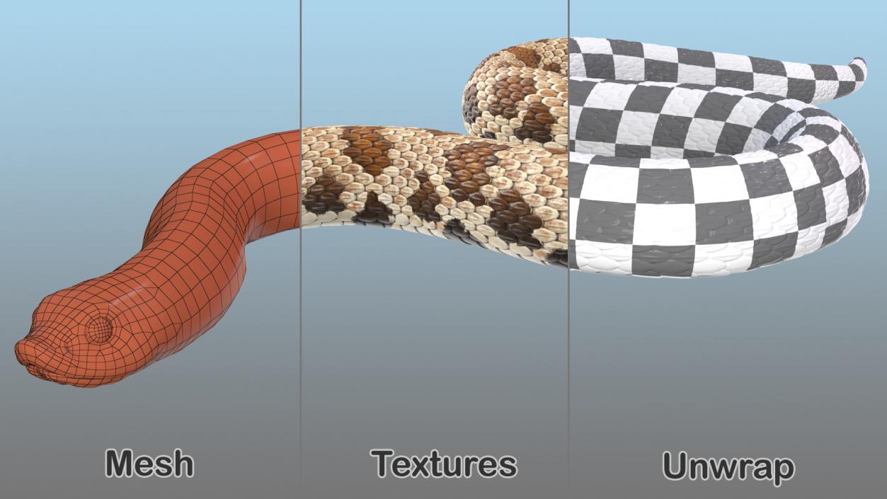 3D Crawling Brown Hognose Snake model