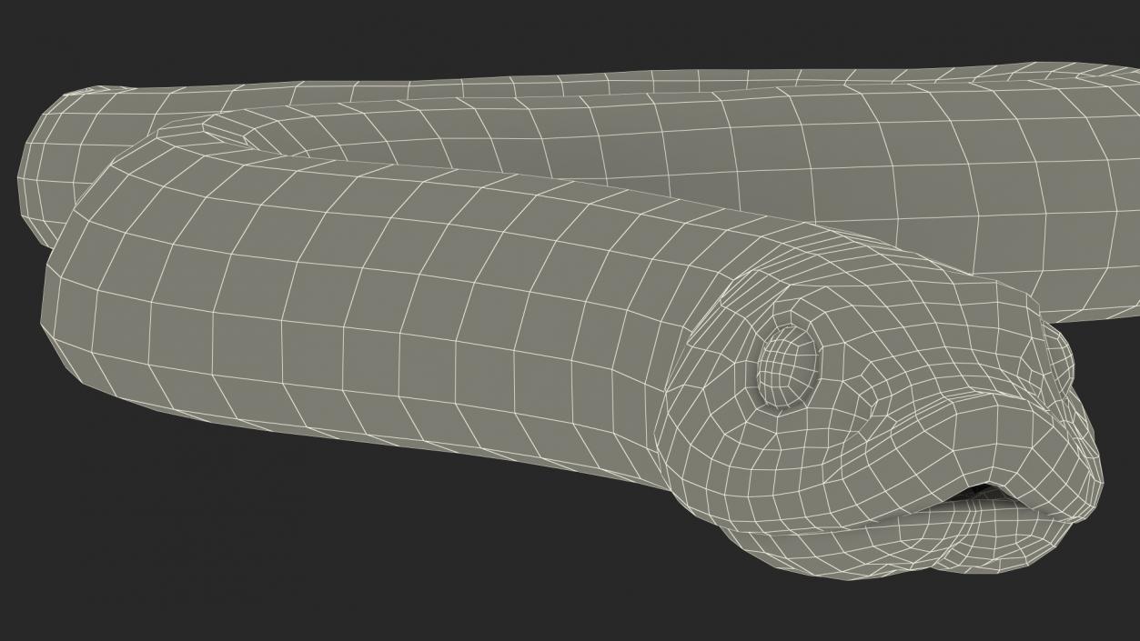 3D Crawling Brown Hognose Snake model