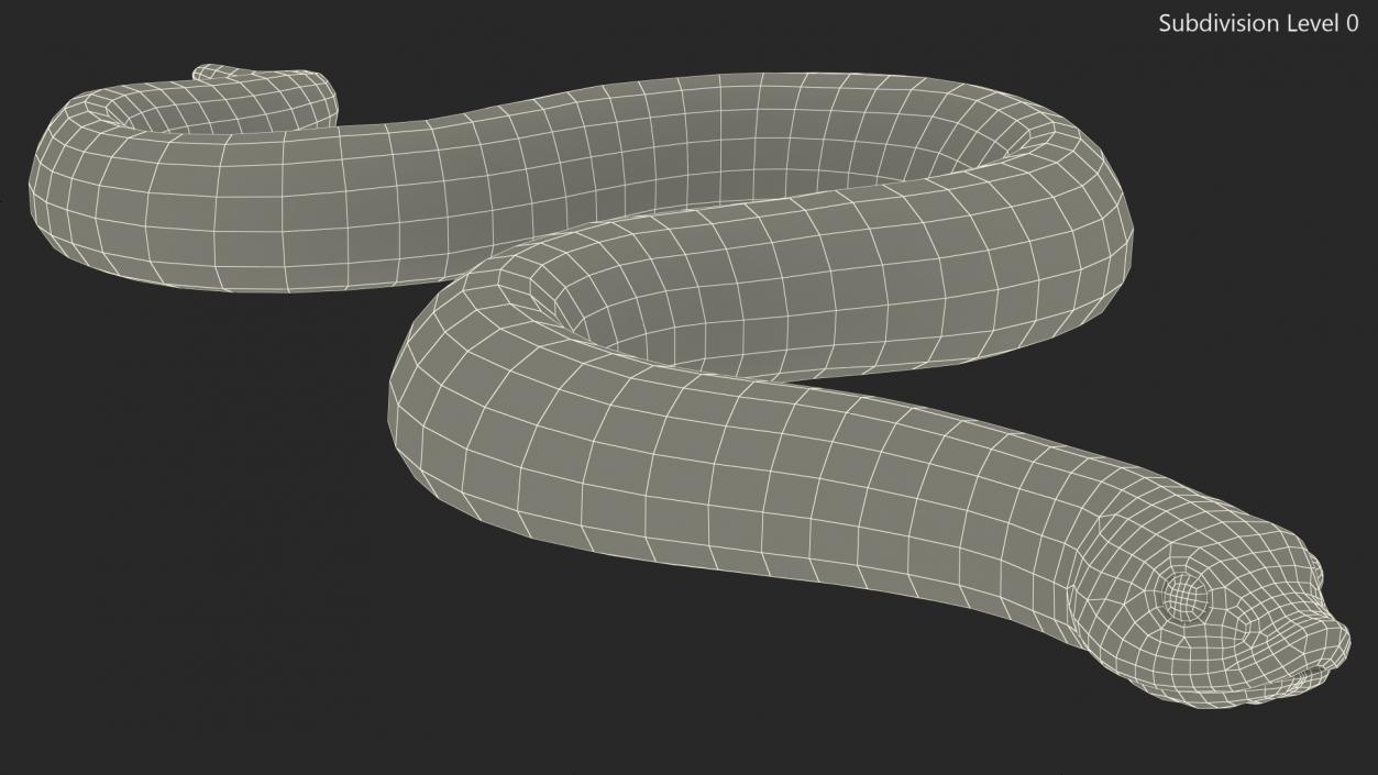 3D Crawling Brown Hognose Snake model