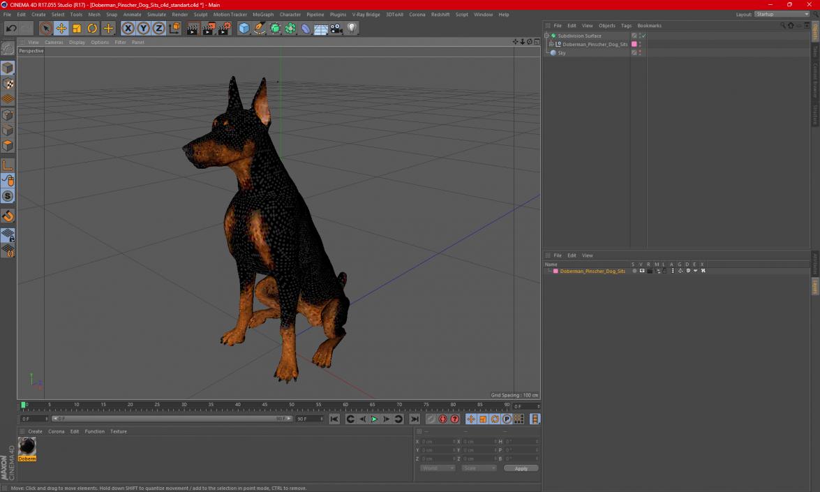 3D Doberman Pinscher Dog Sits 2 model