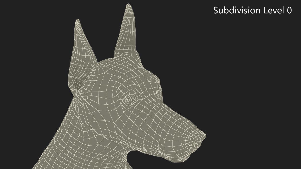 3D Doberman Pinscher Dog Sits 2 model