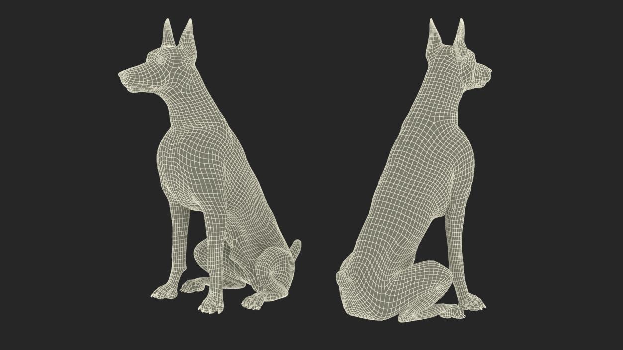 3D Doberman Pinscher Dog Sits 2 model