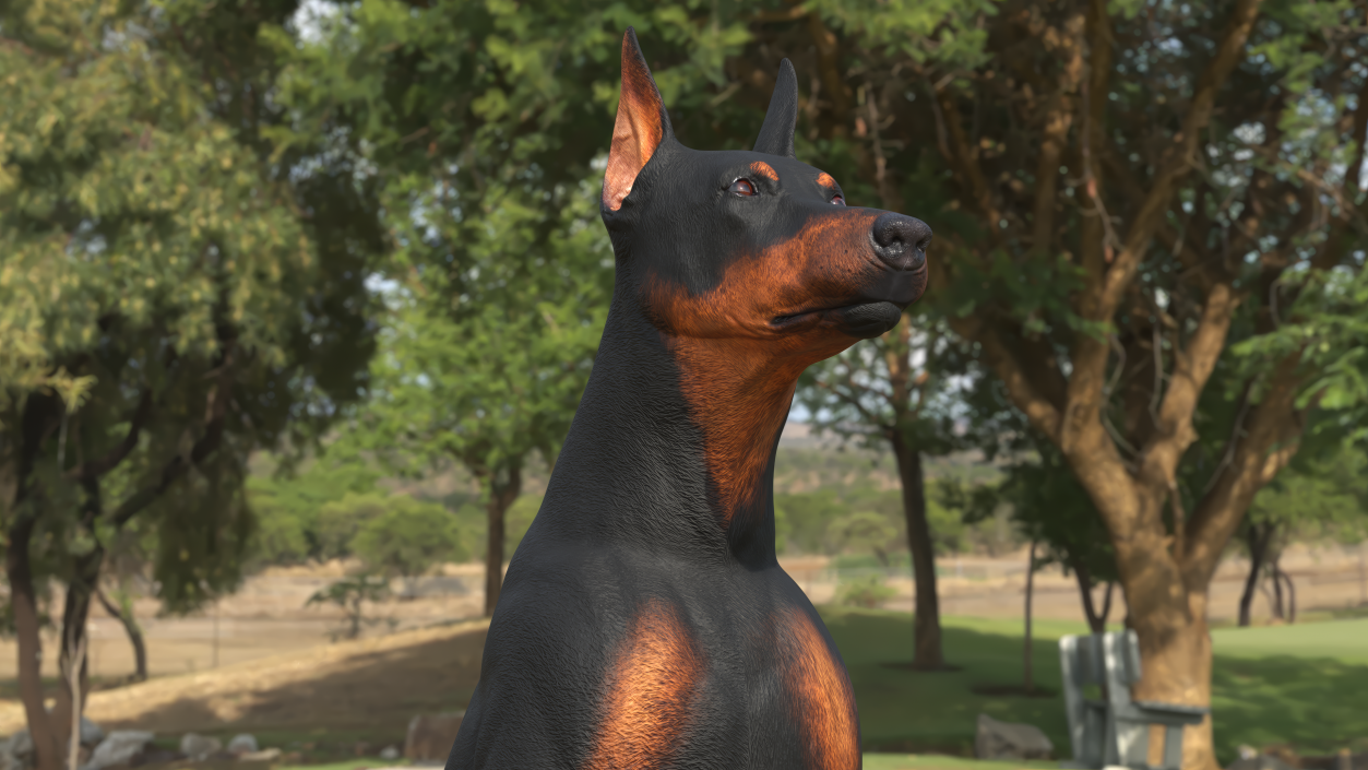 3D Doberman Pinscher Dog Sits 2 model