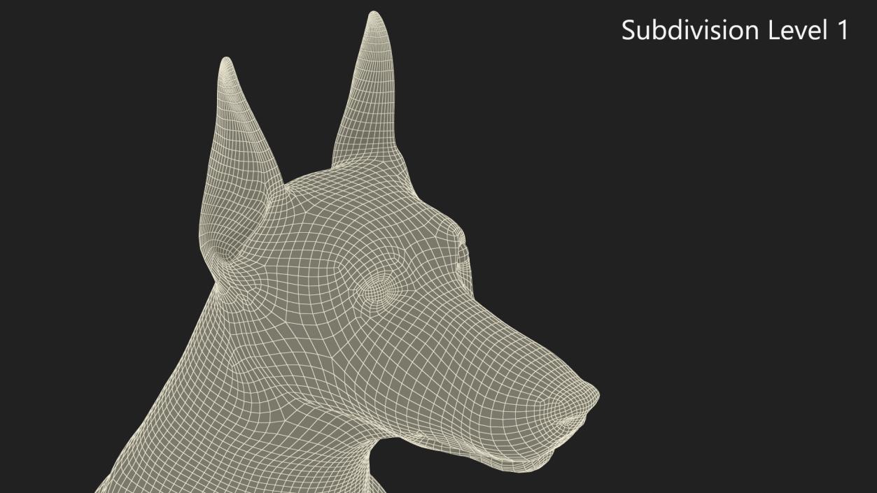 3D Doberman Pinscher Dog Sits 2 model