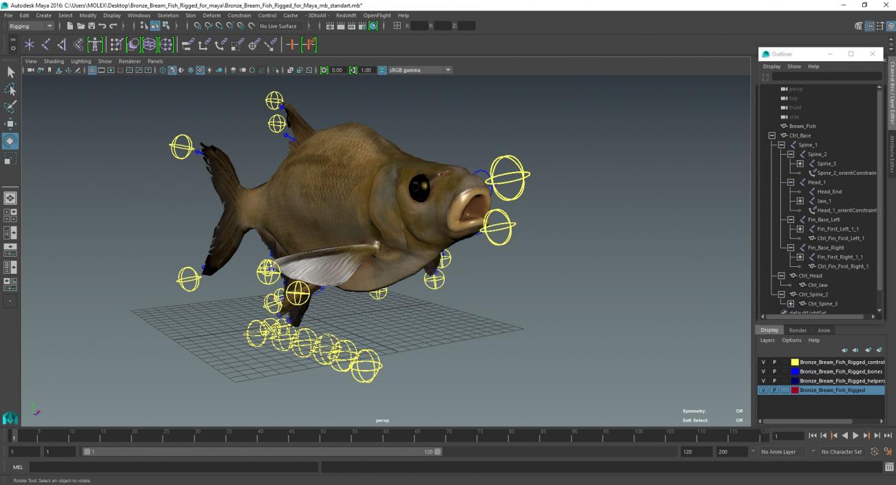 3D Bronze Bream Fish Rigged for Maya model