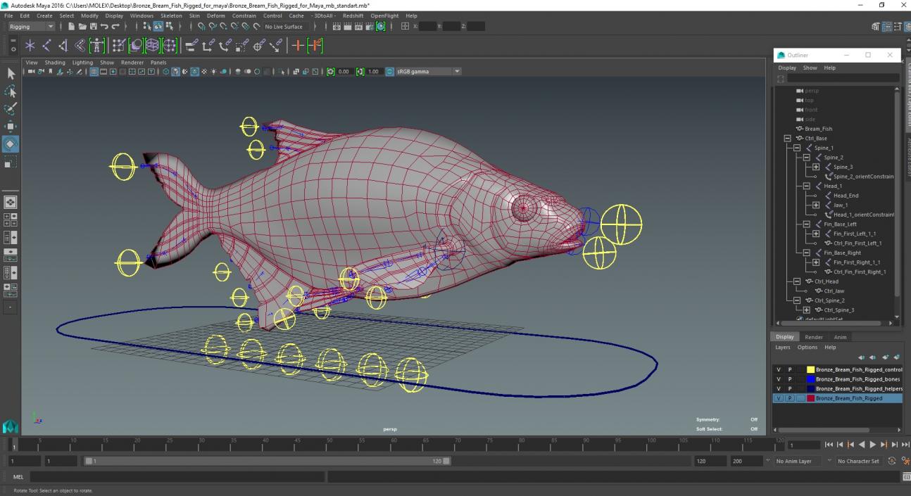 3D Bronze Bream Fish Rigged for Maya model