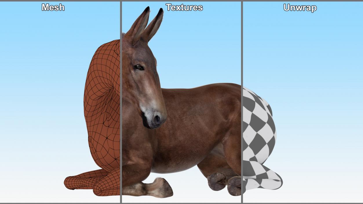 Lying Mule Dark Fur 3D model