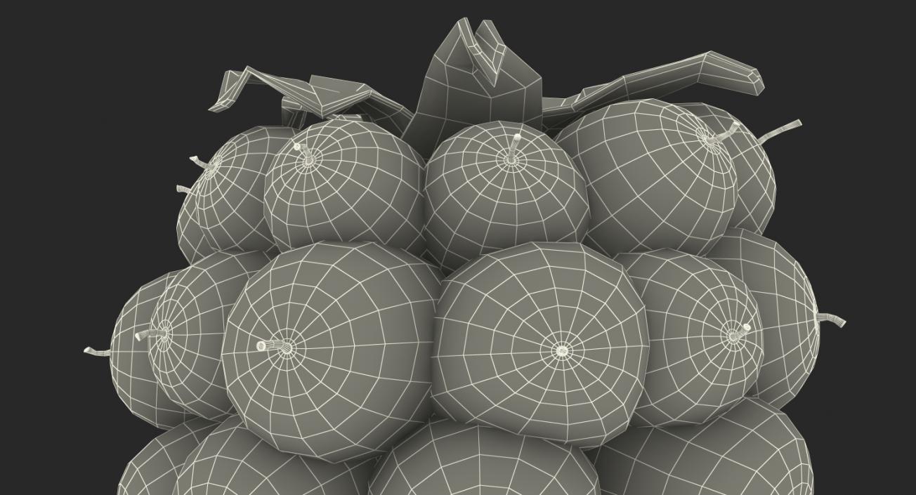 3D model Not Ripe Berry Blackberry