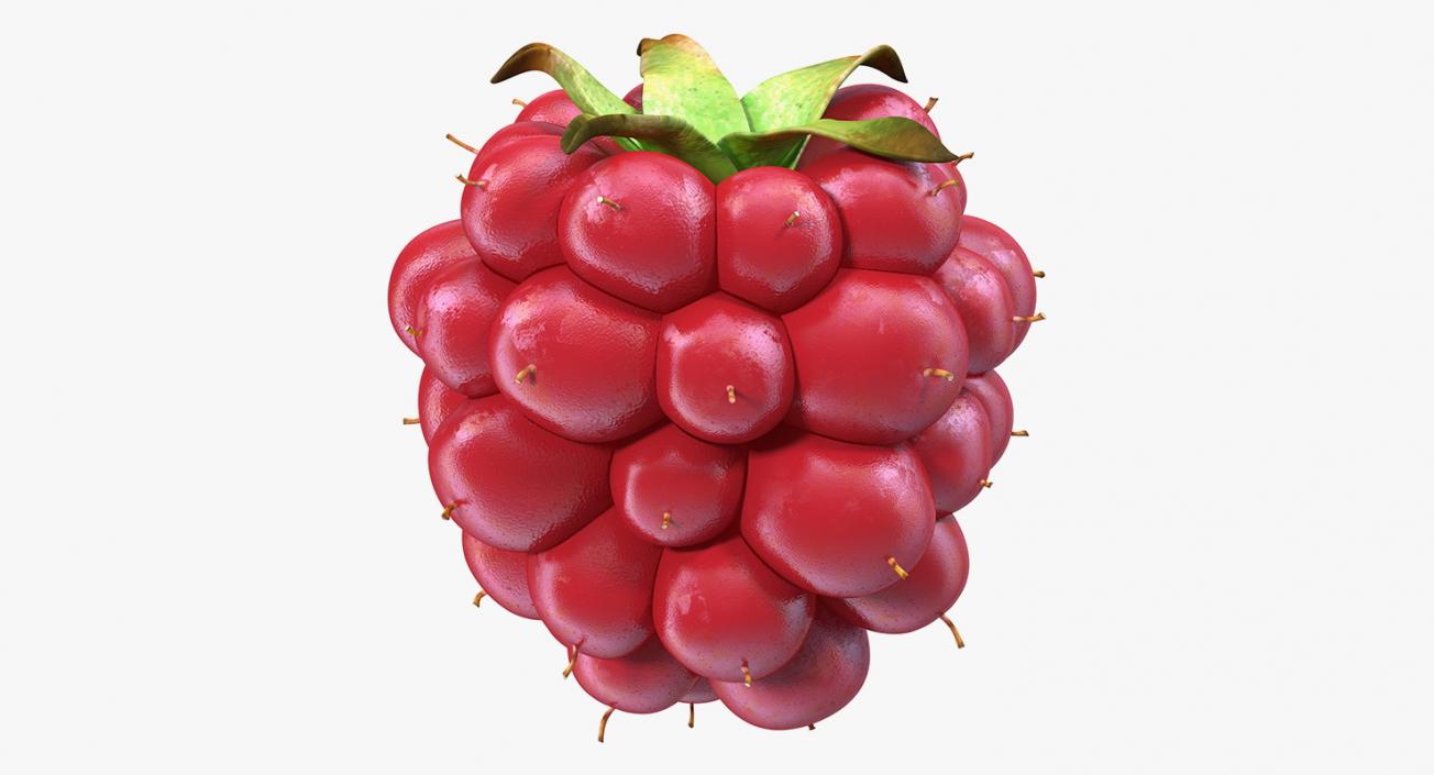 3D model Not Ripe Berry Blackberry