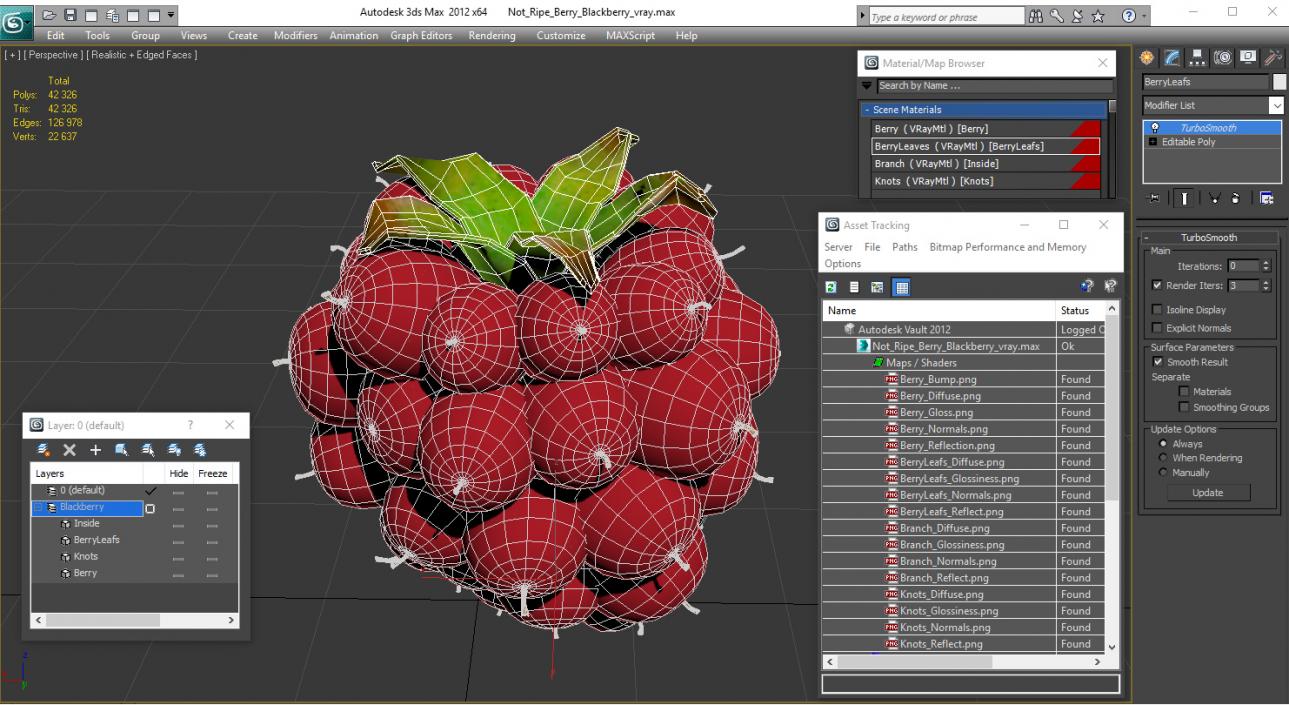 3D model Not Ripe Berry Blackberry