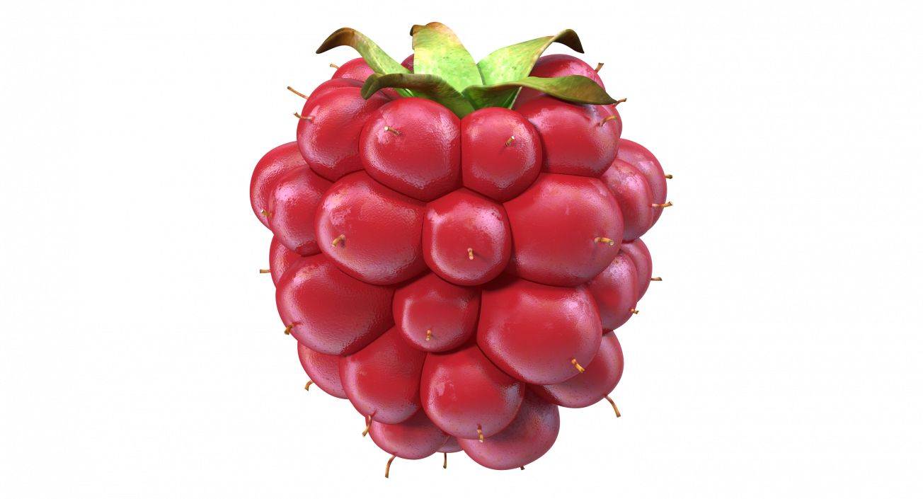 3D model Not Ripe Berry Blackberry