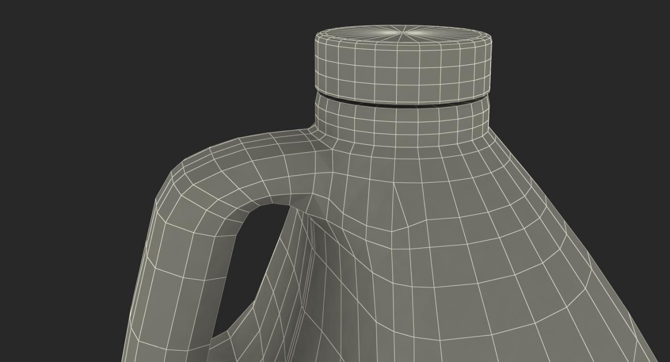 3D model Plastic Jug 1 Gallon